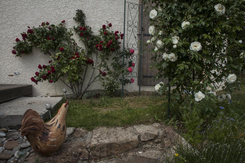 Chambre D'Hotes La Bichette Chassagny ภายนอก รูปภาพ